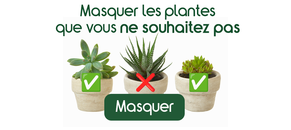 Masquer les plantes